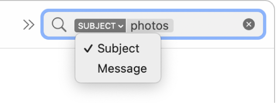 Penapis carian yang anak panah bawah diklik untuk menunjukkan dua pilihan: Subjek dan Seluruh Mesej. Subjek dipilih.