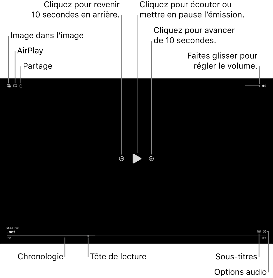 Commandes de lecture dans le visualiseur, y compris des boutons pour lire ou mettre en pause, avancer ou reculer, et ajuster le volume.