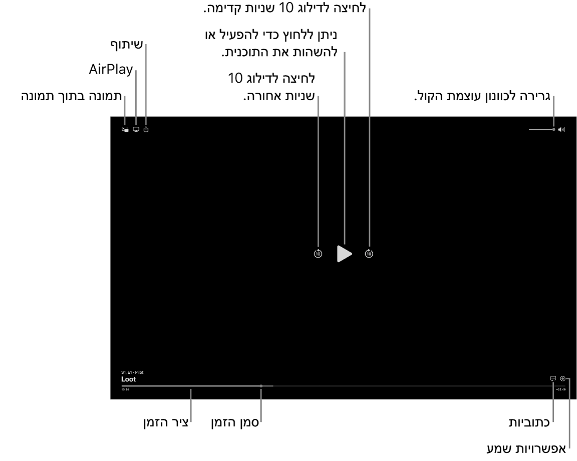 פקדי הפעלה במציג, כולל כפתורים להפעלה ולהשהיה, לדילוג קדימה ואחורה ולשינוי עוצמת הקול.