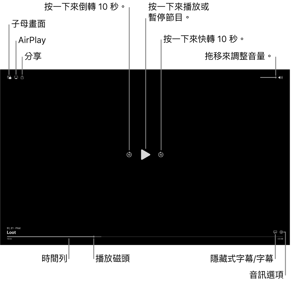 檢視器中的播放控制項目，包含播放或暫停、跳到下一段或上一段和調整音量的按鈕。