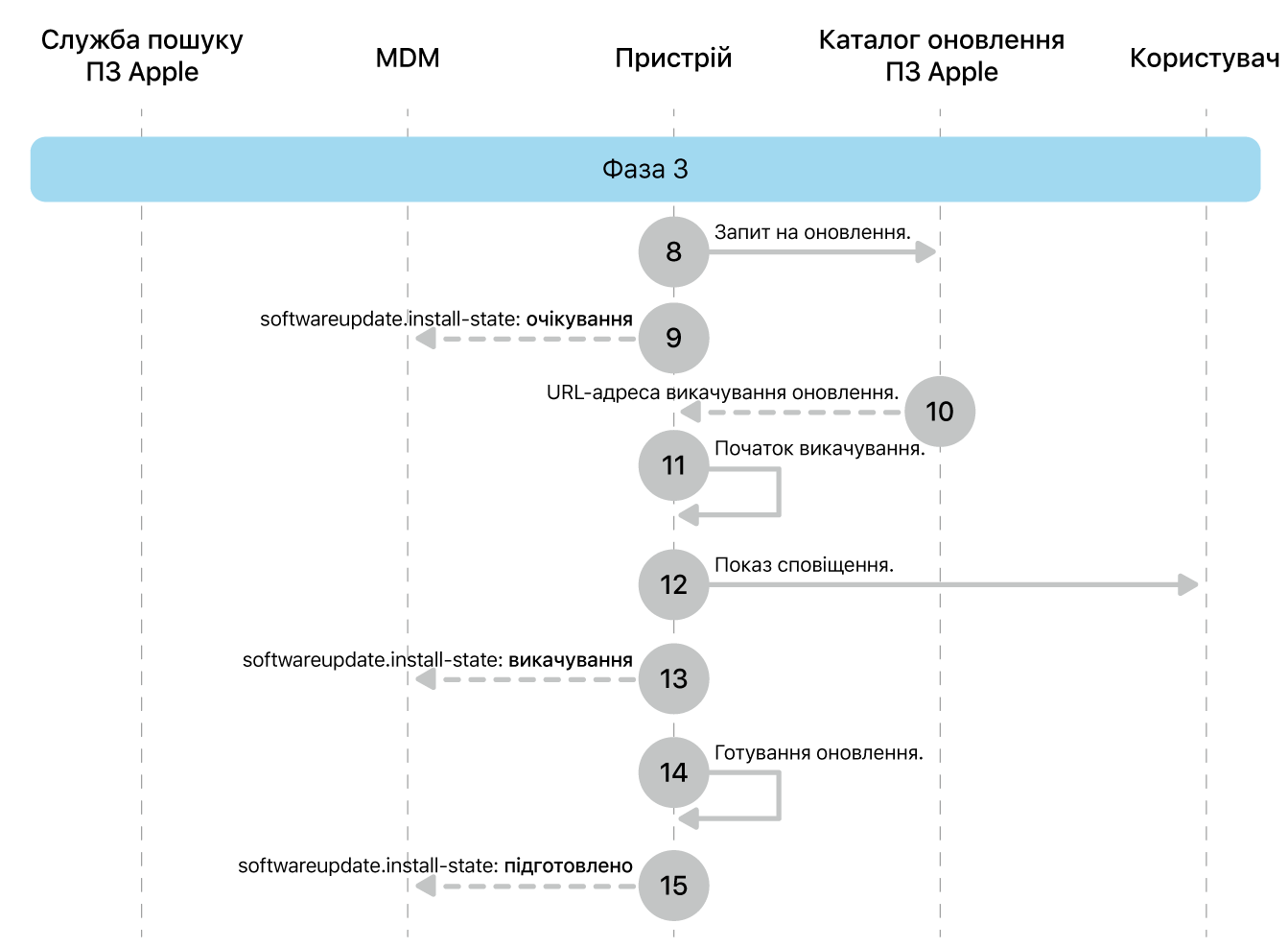 Фаза 3, кроки 8—16 запровадження оновлення ПЗ Apple.