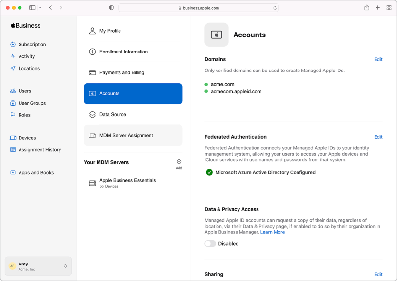 The Apple Business Manager federated authentication connection.