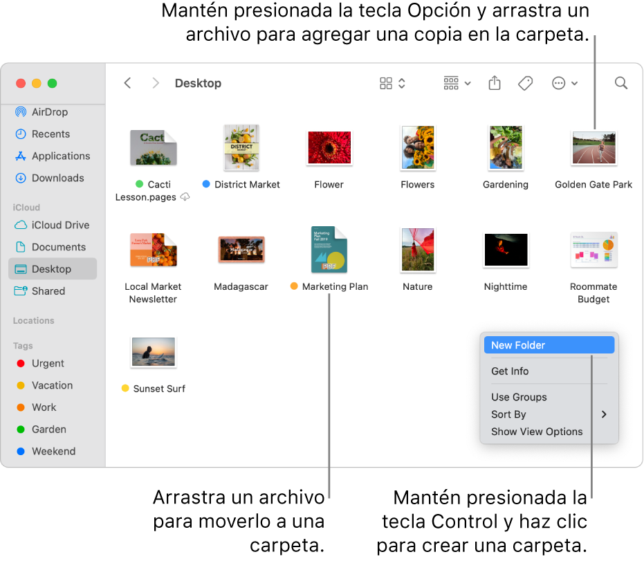 Una ventana del Finder con archivos y carpetas. En el menú de funciones rápidas, Nueva carpeta está resaltado.