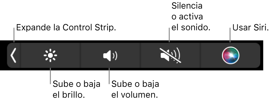 La Control Strip contraída incluye botones, de izquierda a derecha, para expandir la Control Strip, aumentar o reducir el brillo de la pantalla y el volumen, activar o desactivar el sonido, y utilizar Siri.