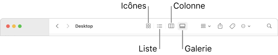 La partie supérieure d’une fenêtre du Finder, avec les boutons d’options de présentation pour un dossier.