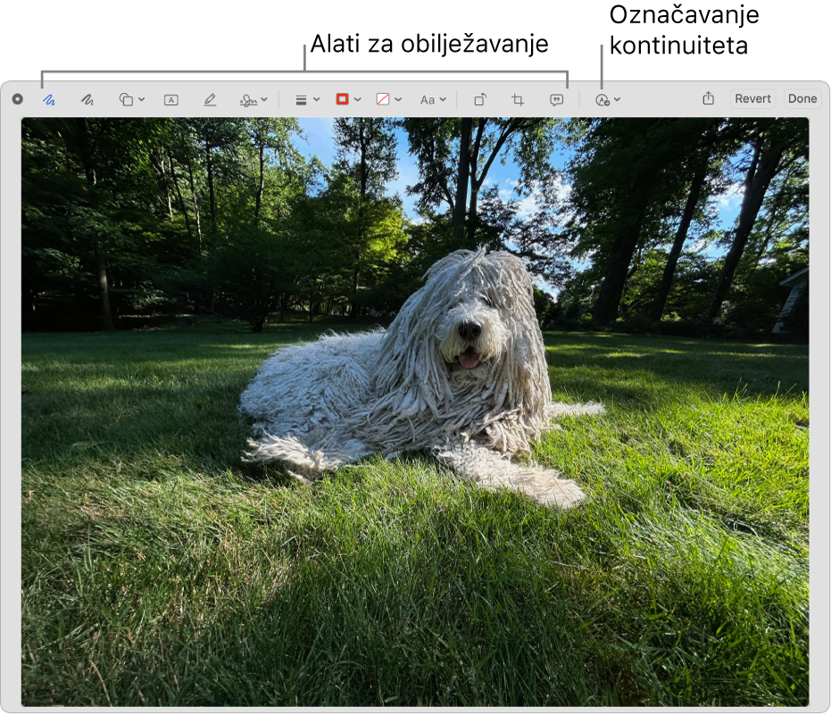 Slika u prozoru Obilježavanje s prikazom alatne trake s alatima obilježavanja i alatom za korištenje Obilježavanja kontinuiteta na iPhoneu ili iPadu u blizini.