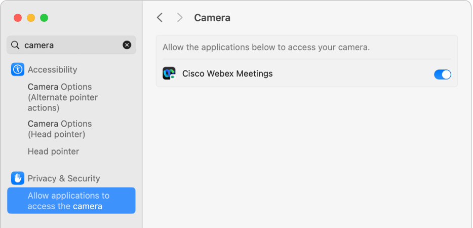 Impostazioni “Privacy e Sicurezza” per la fotocamera sul Mac. Le app che possono accedere alla fotocamera sono attive.