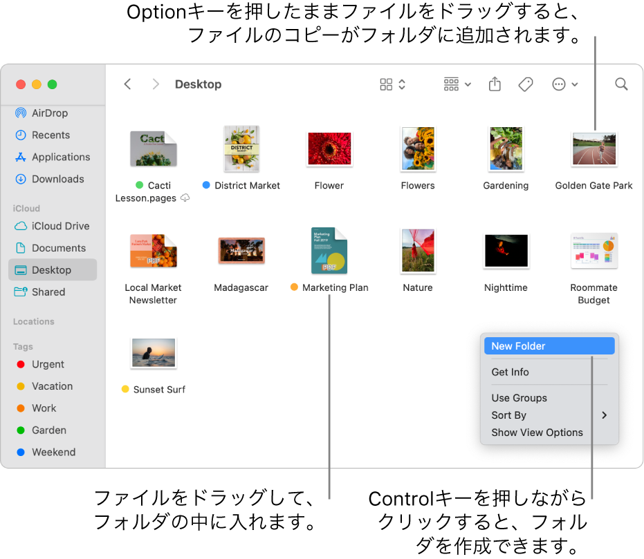 ファイルとフォルダが含まれているFinderウインドウ。ショートカットメニューで「新規フォルダ」が強調表示されています。