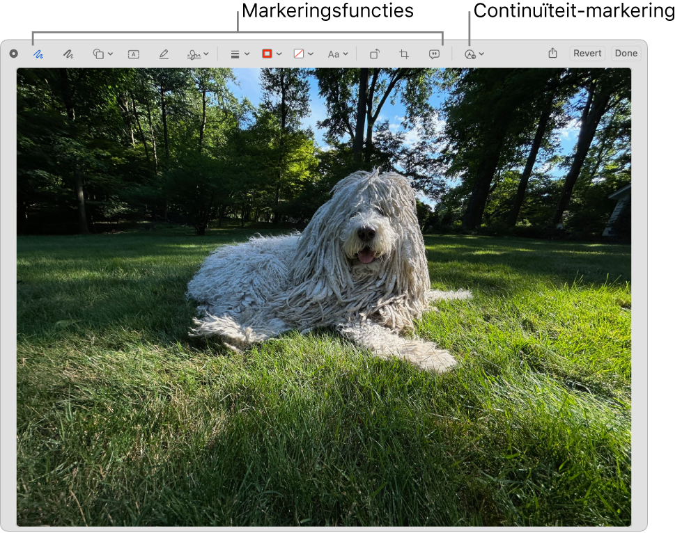 Een afbeelding in het markeringsvenster waarin de knoppenbalk met markeringsopties te zien is, evenals de optie om continuïteitsmarkeringen te gebruiken op een iPhone of iPad die in de buurt is.