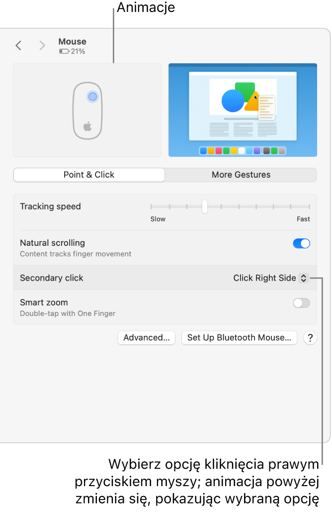 Opcje myszy w Ustawieniach systemowych. Kliknięcie dodatkowym przyciskiem ustawione jest na Kliknij prawą stroną. Widoczna jest także odpowiednia animacja.