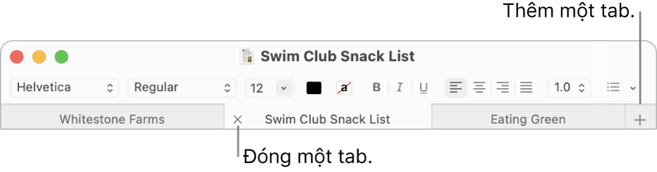 Cửa sổ TextEdit có ba tab trong thanh tab, nằm bên dưới thanh định dạng. Một tab hiển thị nút Đóng. Nút Thêm nằm ở đầu bên phải của thanh tab.