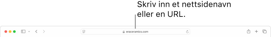 Det smarte søkefeltet i Safari, der du kan skrive inn nettstedets navn eller URL.
