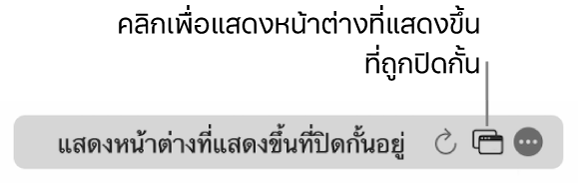 ช่องค้นหาอัจฉริยะที่มีปุ่มเพื่อแสดงหน้าต่างที่แสดงขึ้นที่ถูกปิดกั้น