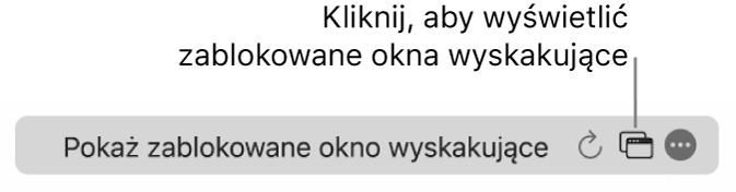 Inteligentne pole wyszukiwania z przyciskiem umożliwiającym wyświetlenie zablokowanych okien wyskakujących.