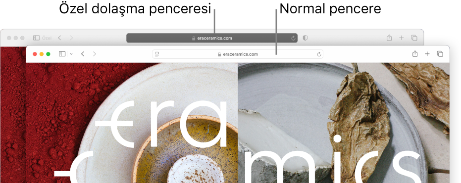 Koyu akıllı arama alanıyla özel bir Safari penceresi ve açık bir akıllı arama alanıyla normal bir Safari penceresi.