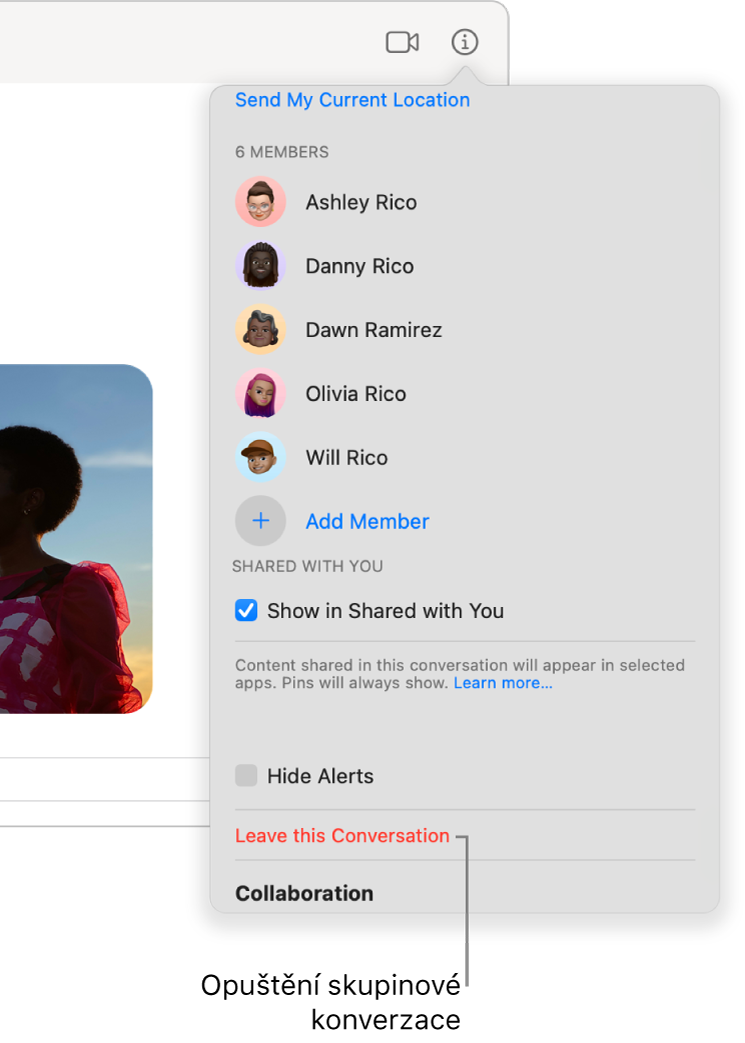 Zobrazení Informace, které se objeví po kliknutí na tlačítko Informace v konverzaci. U dolního okraje dialogu je tlačítko Opustit konverzaci.