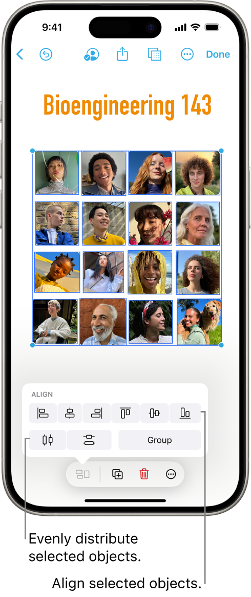 A Freeform board filled with a grid of photos. Several photos are selected, and the alignment and grouping tools appear above them.