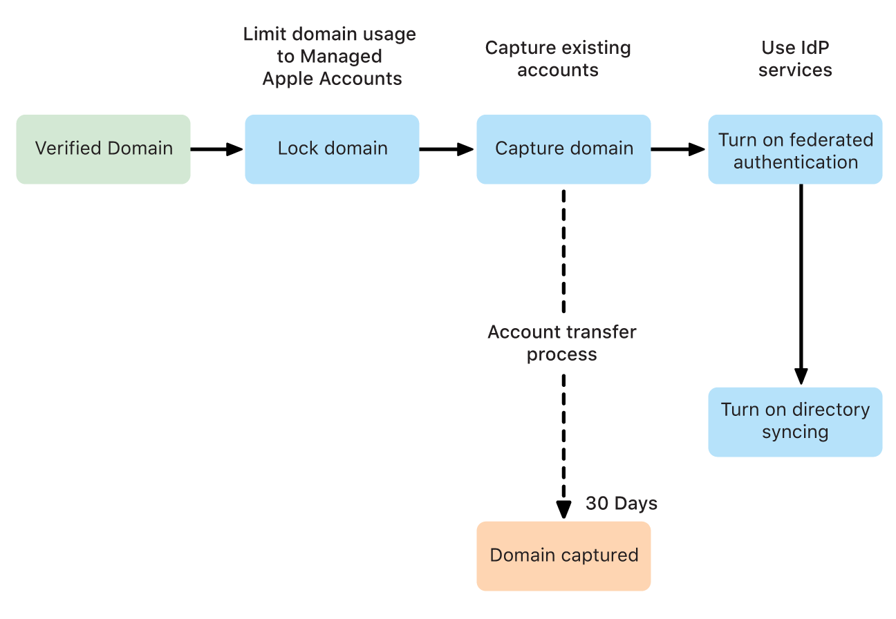 A flowchart showing three options after a domain is verified; lock the domain, capture the domain, and use federated authentication.