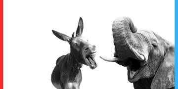 Head, Ear, Black-and-white, Organ, Snout, Working animal, Horn, Photography, Stock photography, Monochrome, 