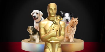 animal oscars 2024