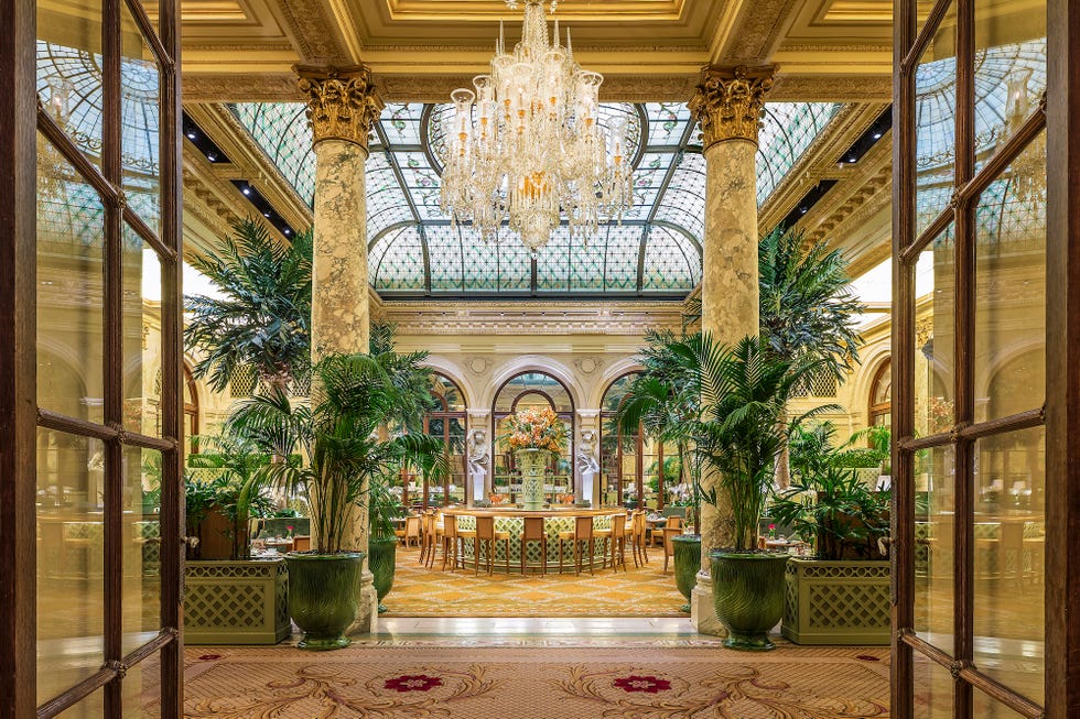 Building, Lobby, Architecture, Palace, Interior design, Estate, Tree, Arch, Glass, Classical architecture, 