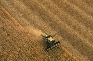 thrasher moves through wheat field