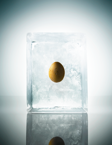 egg suspended in clear ice block