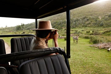 vrouw kijkt door verrekijker tijdens safari in zuid afrika