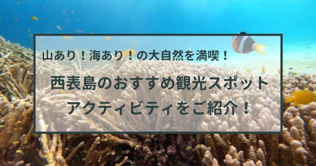 バラス島シュノーケルで見つけたカクレクマノミ