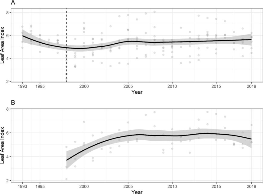 Leaf area index of northern hardwood forest measured based on leaf litterfall A. adjacent to reference watershed 6 and B. calcium-treated watershed 1. Data points indicate annual estimates for six monitored forest stands adjacent to W6 and three stands in W1.