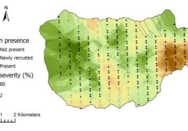 BBD_SeverityMap