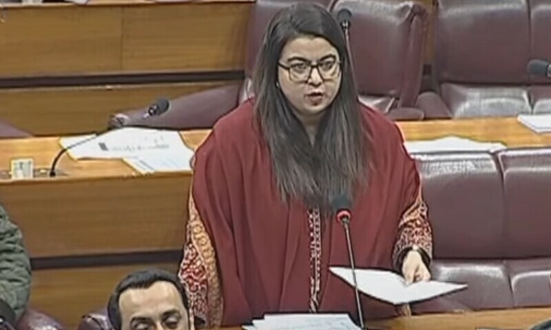 Minister of State for IT and Tele­communication, Shaza Fati­ma Khawaja addresses the National Assembly on Monday.  — National Assembly