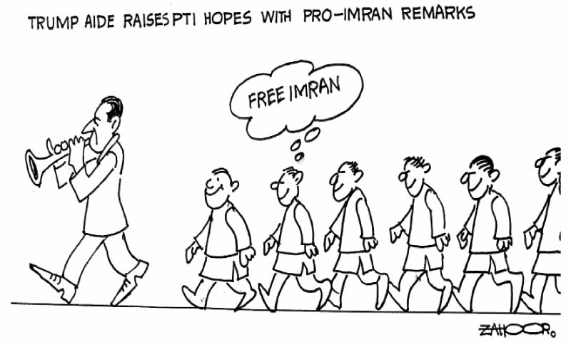 Zahoor's Cartoon