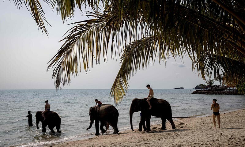 Tourists ride elephants on a beach on Thailand’s island of Koh Chang, on April 9, 2023. — AFP File Photo