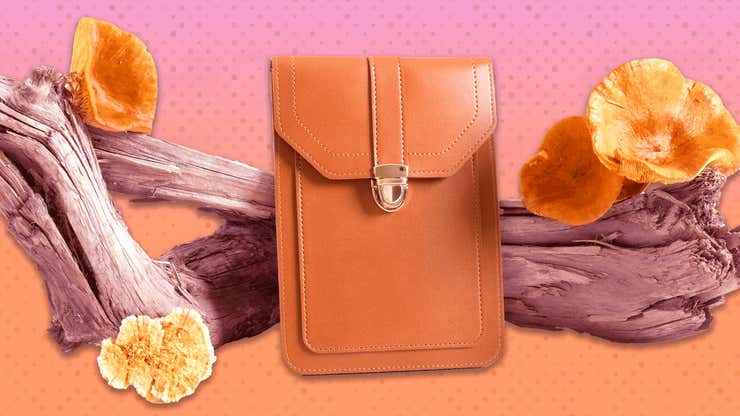 Image for Mushroom leather: Fungi saves fashion