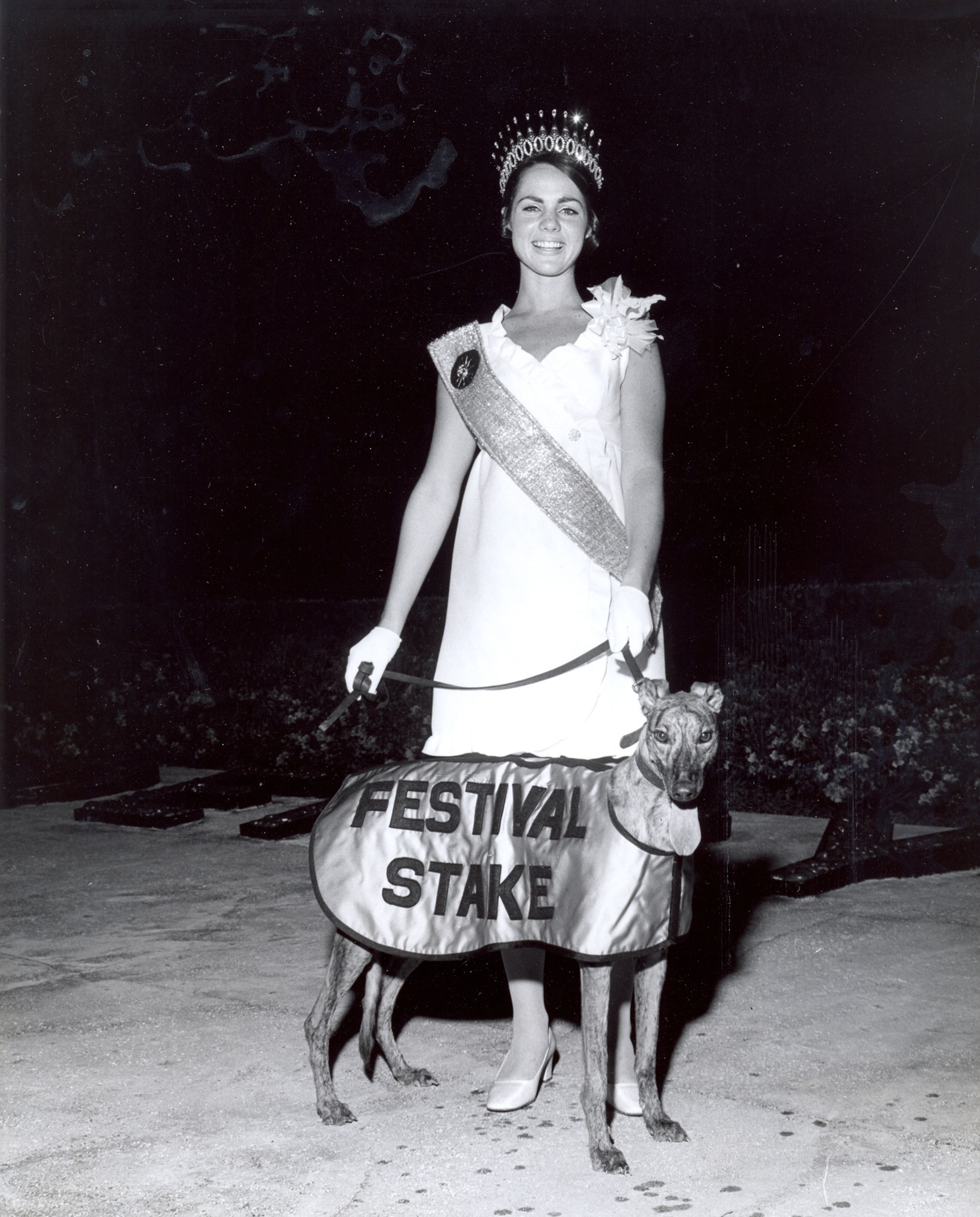 a young woman standing behind a dog that is wearing a jacket that says festival stake