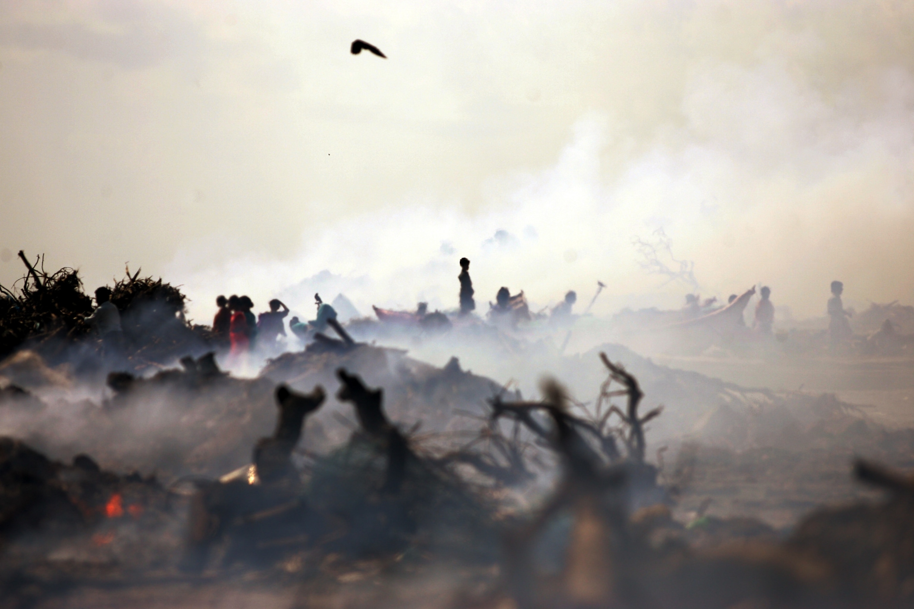 A scorched landscape, people are silhouetted looking for their belongings.