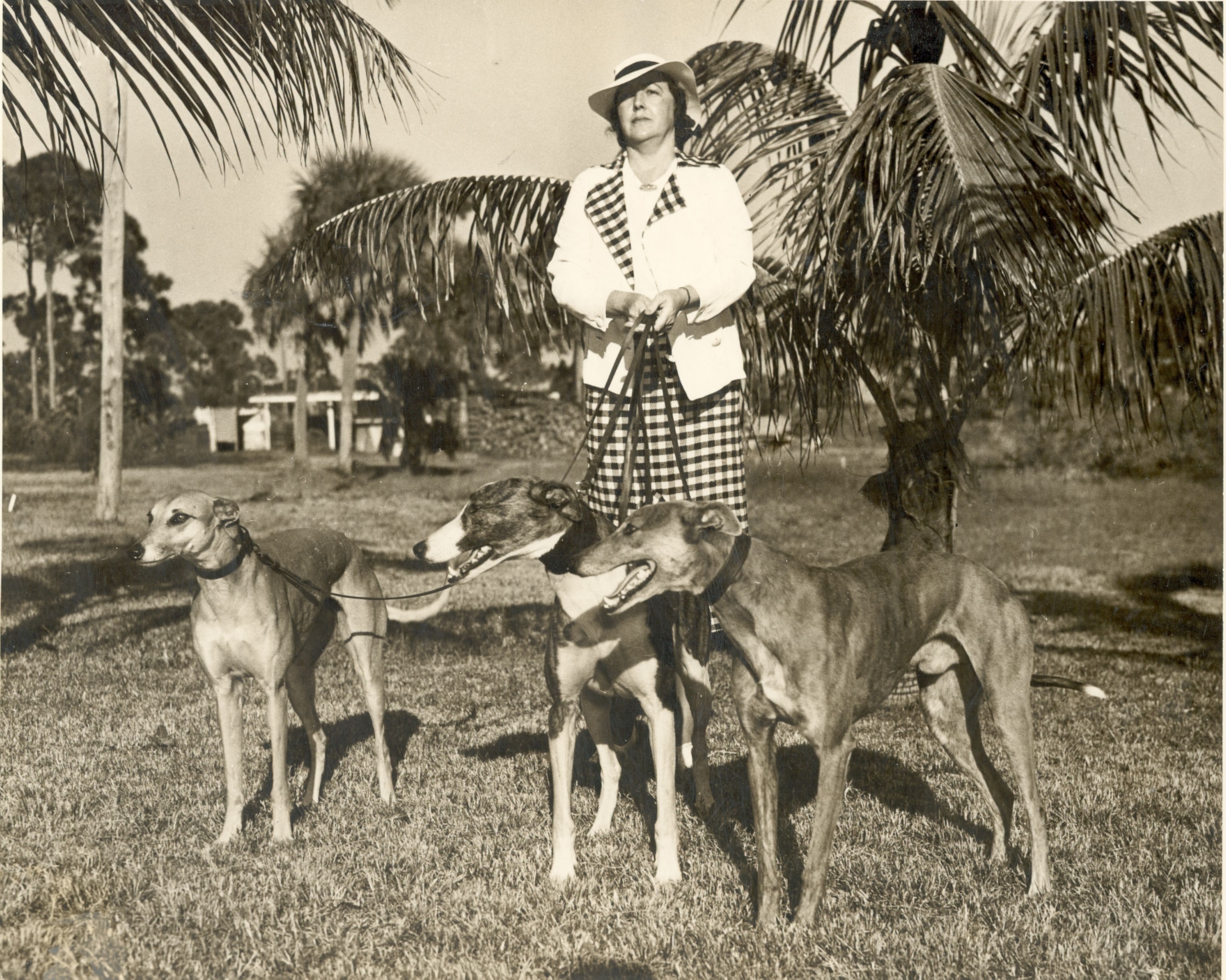 a woman holding three dogs on a leashes