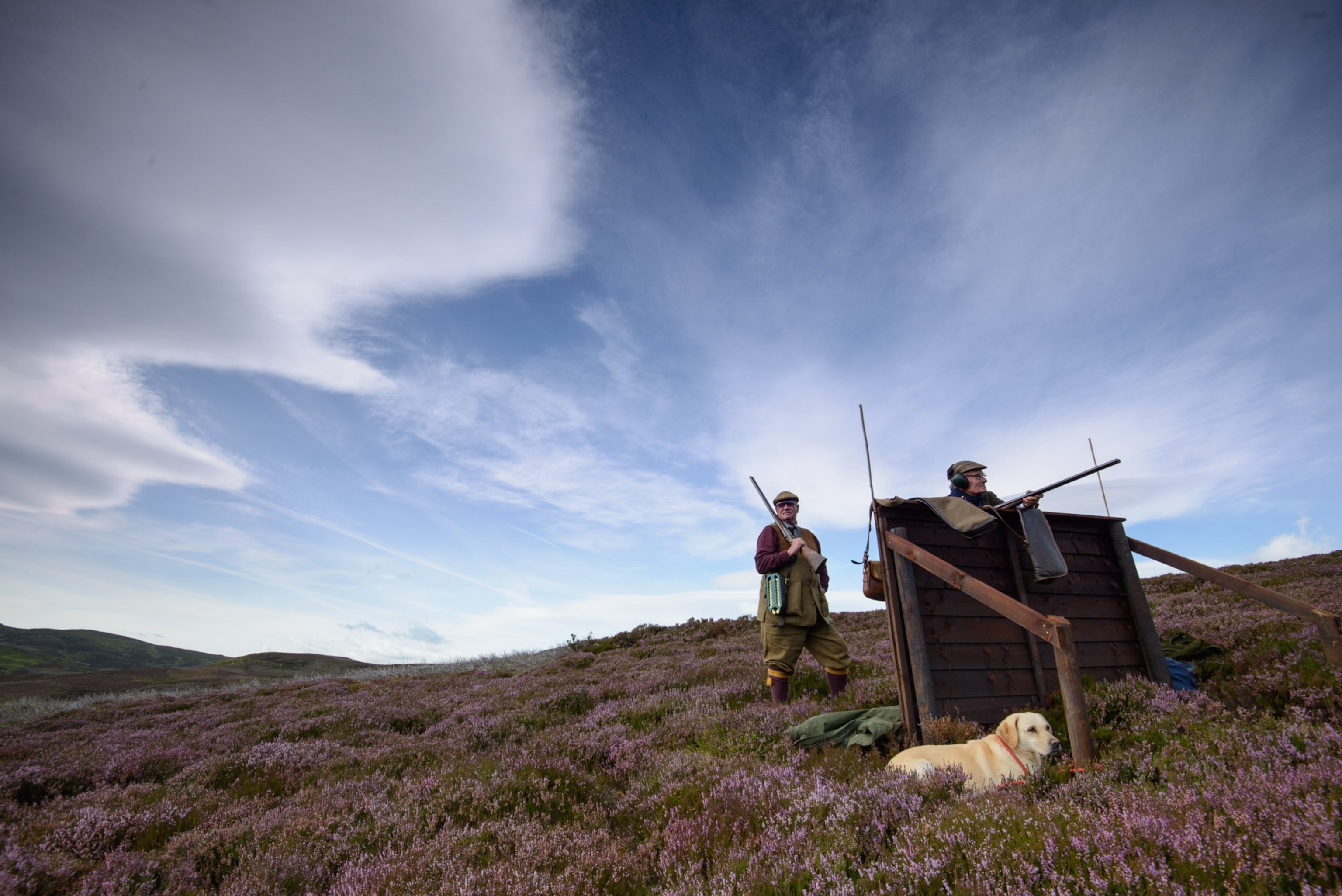 A hunder stands in a field with their dog under a blue sky.