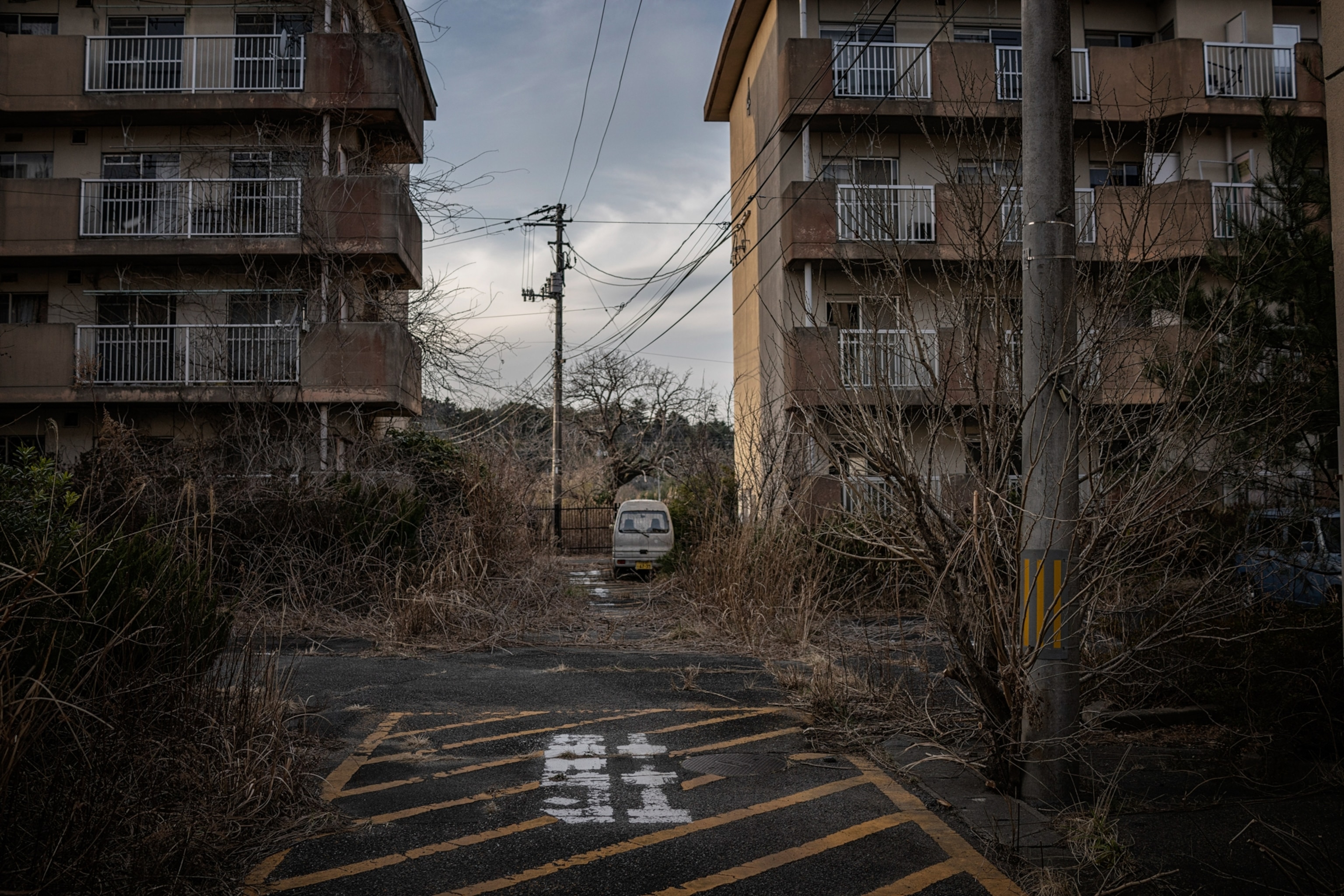 A street and apartment complex overgrown with weeds.