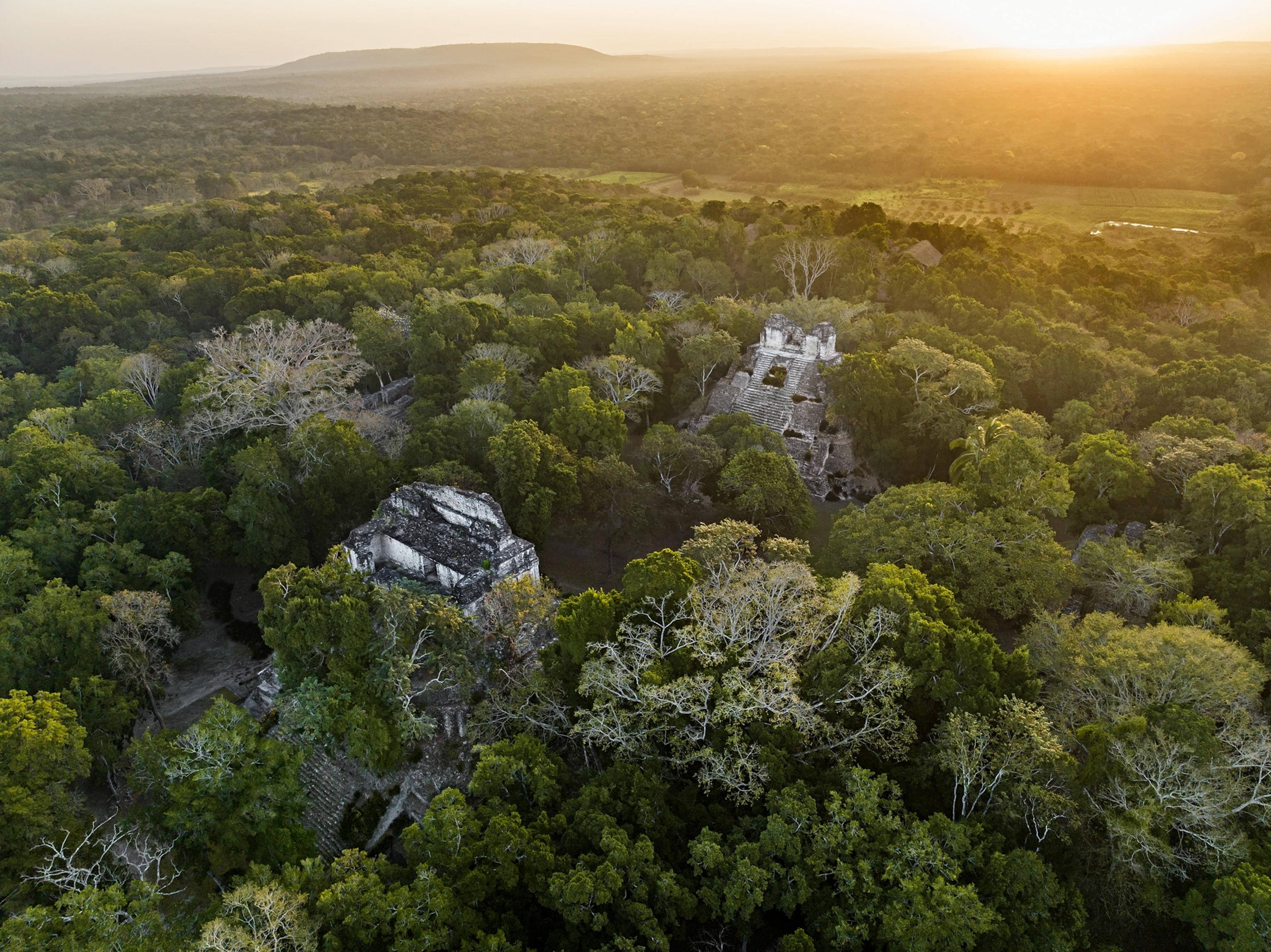 nested between lush green trees are Mayan structures.