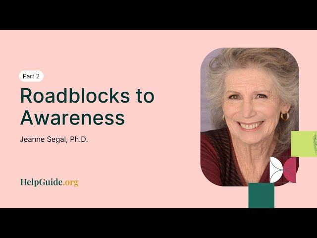 Roadblocks to Awareness (Part 2 of 7)