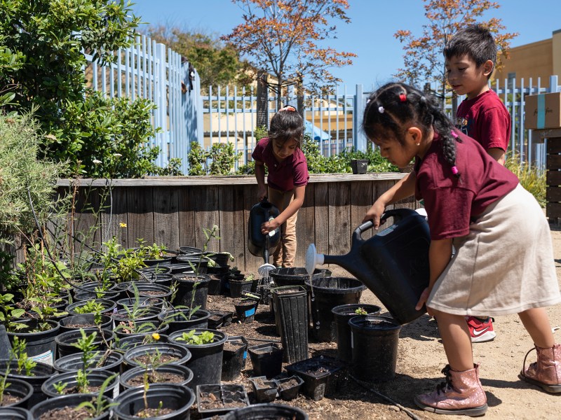 Students of the International Community Elementary School and the Think College Now Elementary School plant succulents during recess in the Cesar Chavez Living Schoolyard in the Fruitvale District of Oakland in California, United States, on April 29th, 2024.