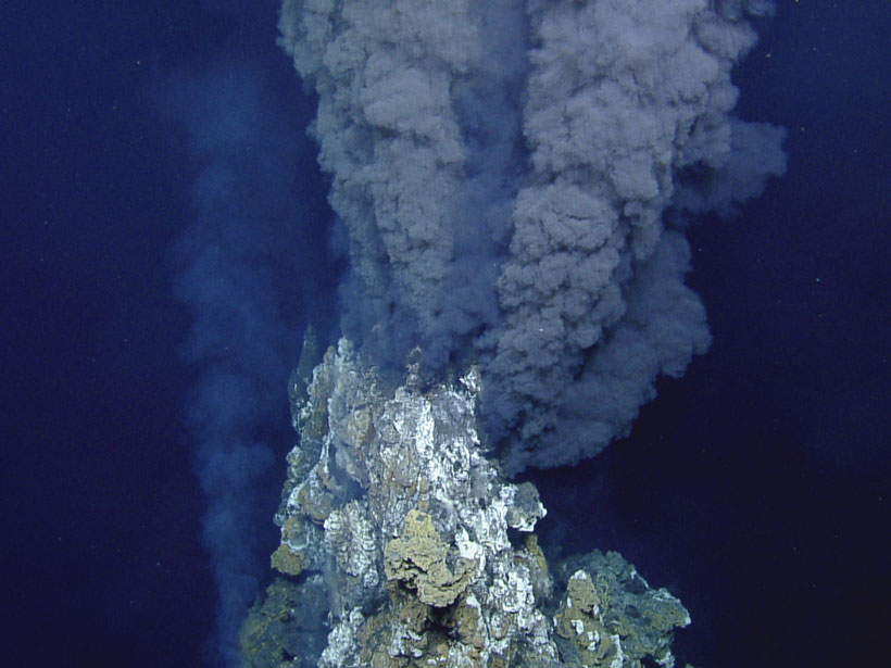 Microbes live in hydrothermal systems like this one on the East Pacific Rise.