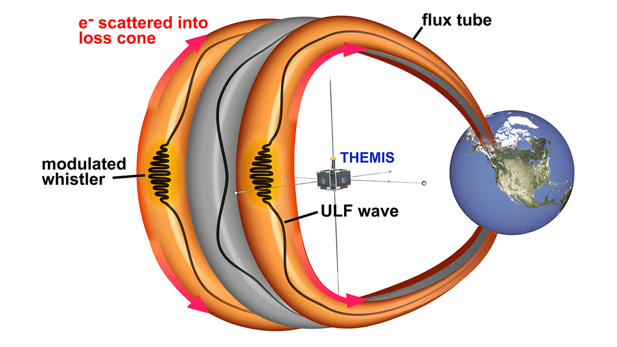 Diagram from the study.