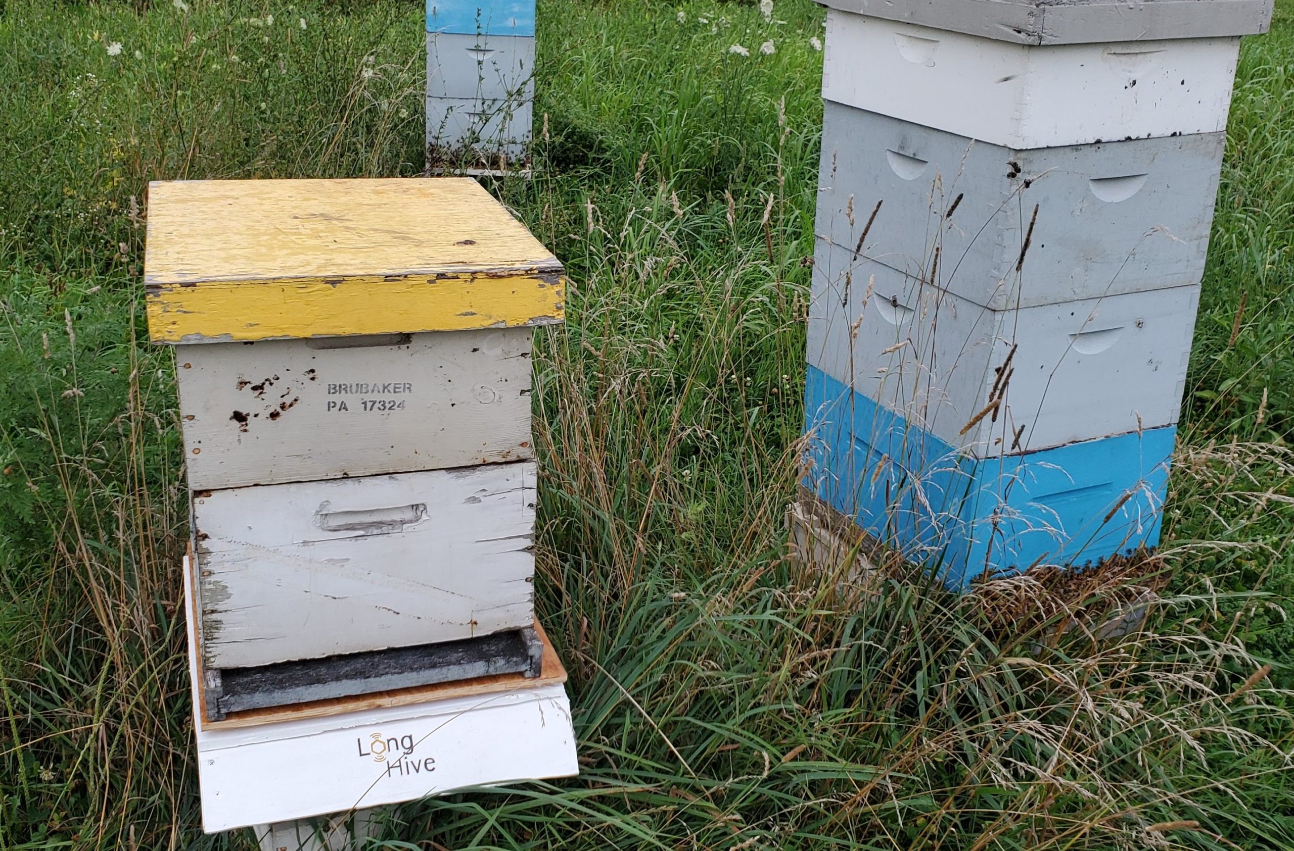 Make:cast – Machine Learning for Beekeepers