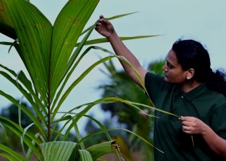 , Google與印度供應商Varaha及Charm簽署協議，將以生物炭方式減少20萬噸的碳排放, mashdigi－科技、新品、趣聞、趨勢