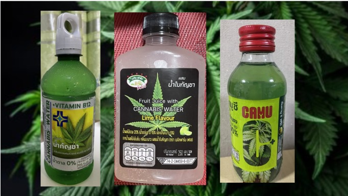 【特集】「タイ大麻解禁」大麻飲料３種飲み比べ 正しい飲み方と成分について