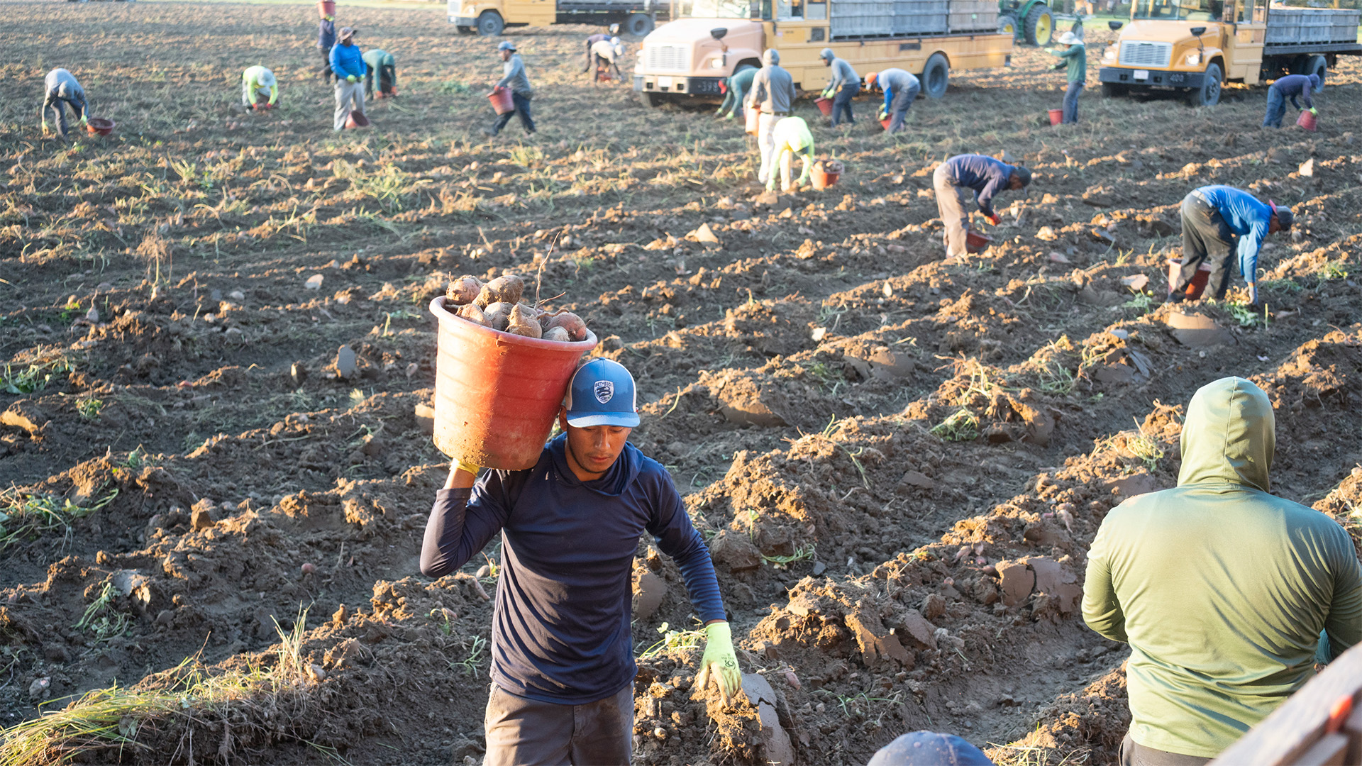 farmworkers