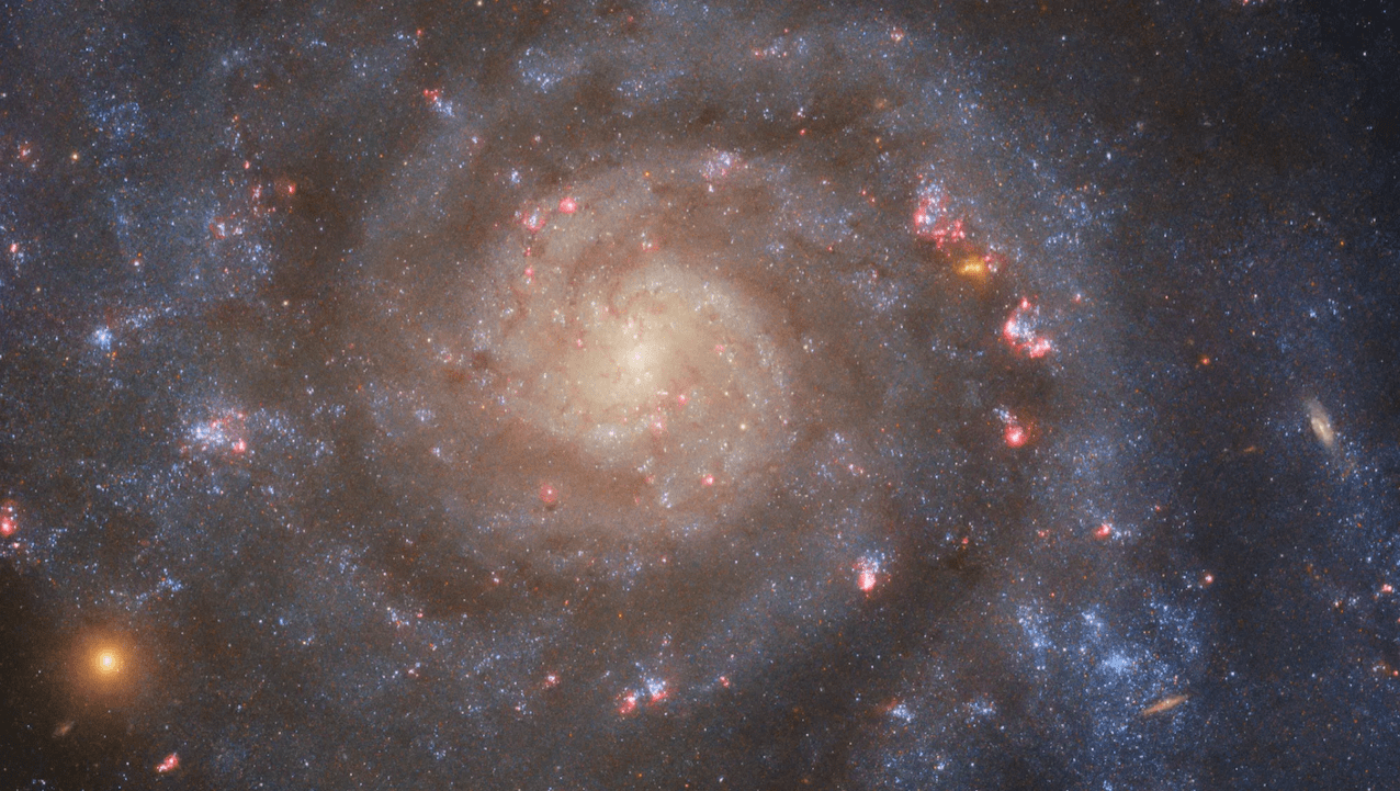 NASA's Hubble Space Telescope captures the face-on spiral galaxy, IC 5332. ESA/Hubble & NASA, R. Chandar, J